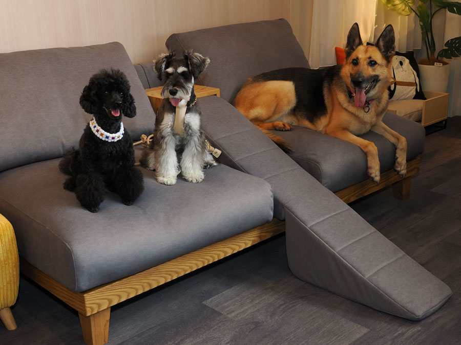 ペット共用ソファ試してみよう!