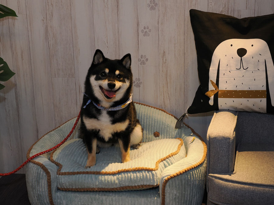 かわいい家具も♪