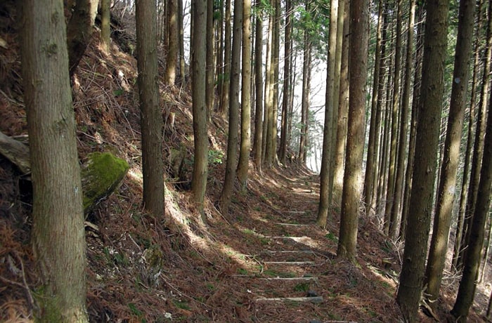 広大な敷地内にある遊歩道。お散歩もたっぷり楽しめます！