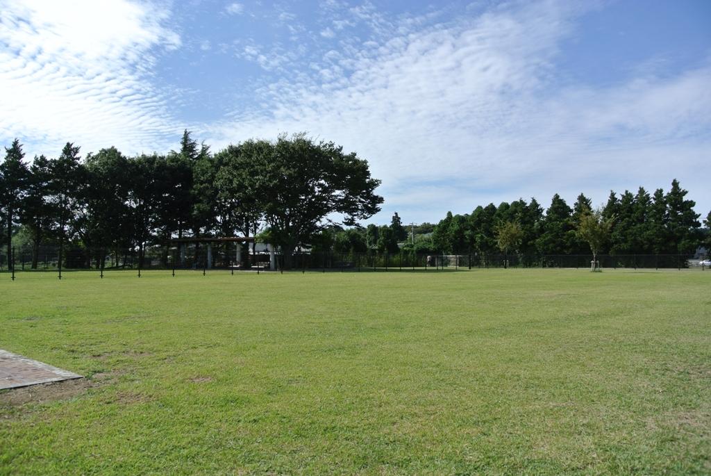 ふなばしアンデルセン公園「ドッグラン」 