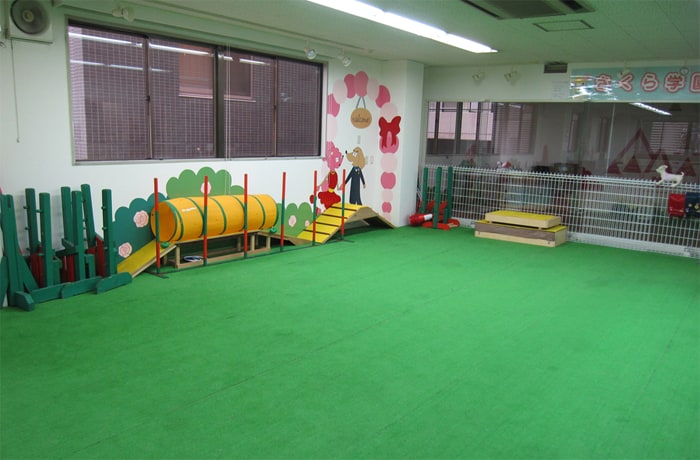アジリティー道具も揃っています。