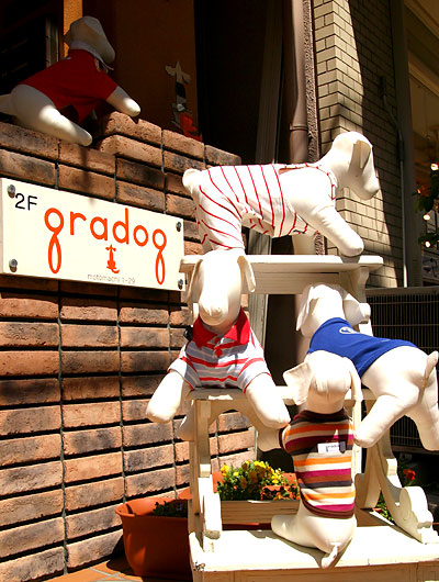 「グラドッグ」は階段を上がって2階。1階のわんこのディスプレイが目印です。