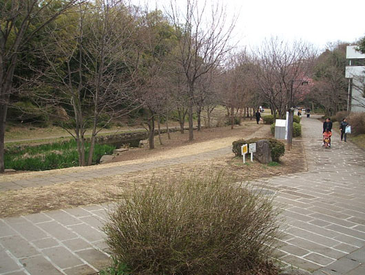 お店から続くせせらぎ公園への緑道は、人気のお散歩コースです。