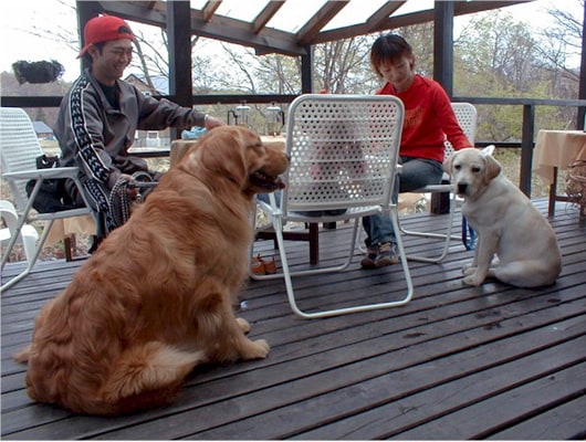 喫茶のテラス席で、愛犬と休憩しよう！（喫茶テラスは、4月〜10月営業）