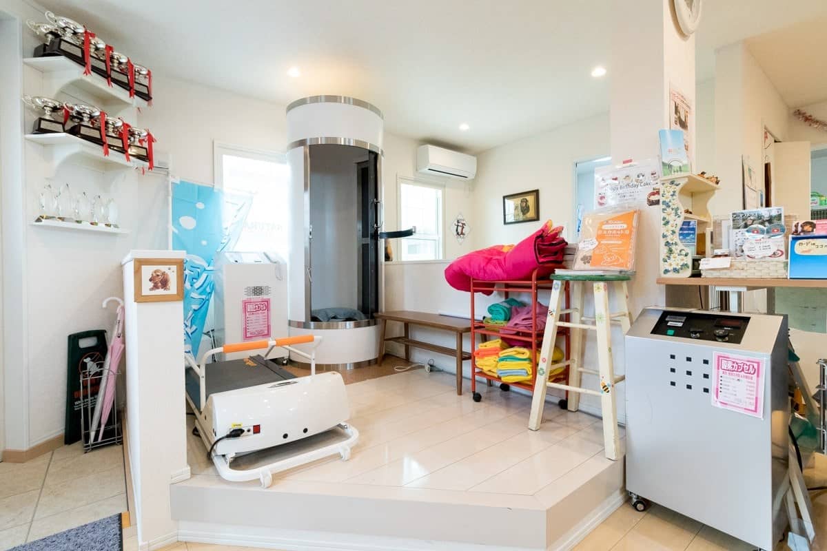 入り口左手に人間用酸素カプセルがあります。ワンコと一緒にもはいれます。手前にみえるのが犬用ルームランナー