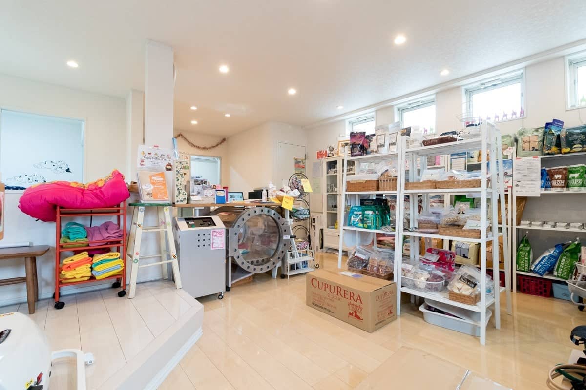 「酸素カプセル」は、中に30分間入っているだけでOK！カプセルから出た時、目の輝きが違うそうです。