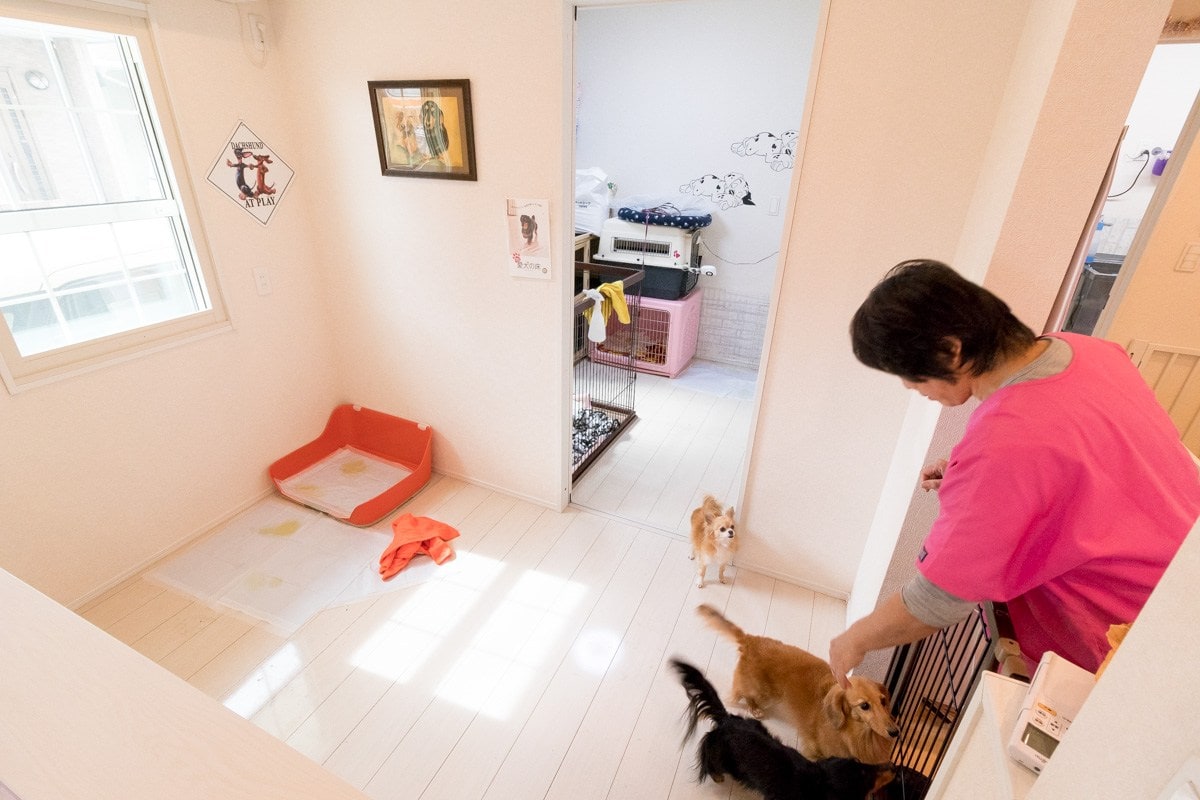 人間用酸素カプセルの奥がお預かりワンコの遊び場です。その奥にお預かりワンコたちのサークルがあります。基本的には、日中は自由です。