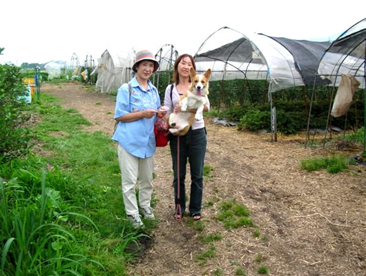 わんこと一緒に果物や野菜の収穫を満喫しよう。