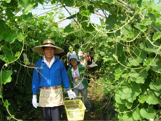 今年の出来はどうかな？収穫する際も、作物は大切にしましょう！