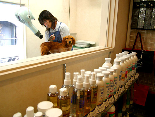 品揃え豊富なグルーミンググッズ。ガラスの向こうでわんこがシャンプー中です。