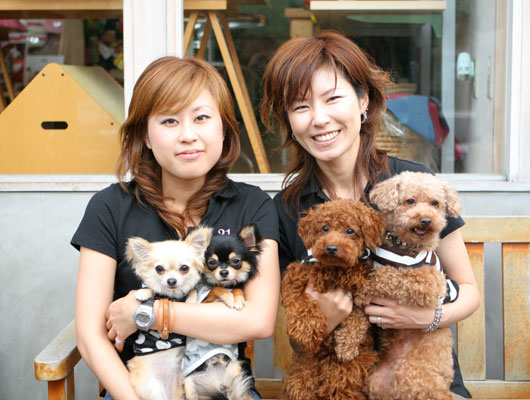 やさしいスタッフの皆さんと看板犬のわんこたち。