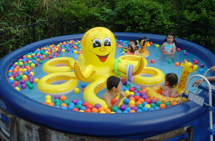 夏期は、子供用プールが登場します。（わんこは入れません）