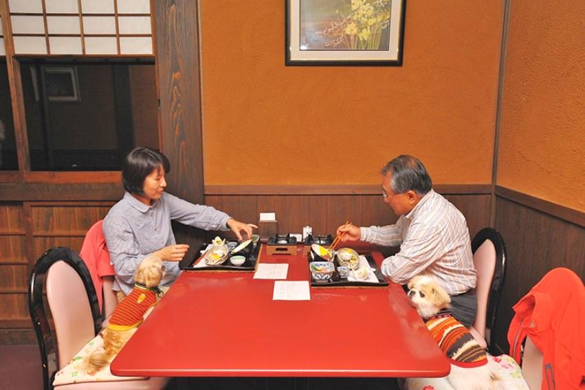 「レストランほがらか」はもちろんわんこと一緒にお食事ができます。