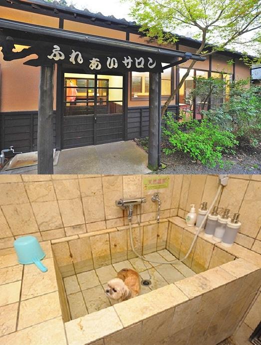 「ふれあいサロン」では、わんこも天然温泉を楽しめるんですよ！