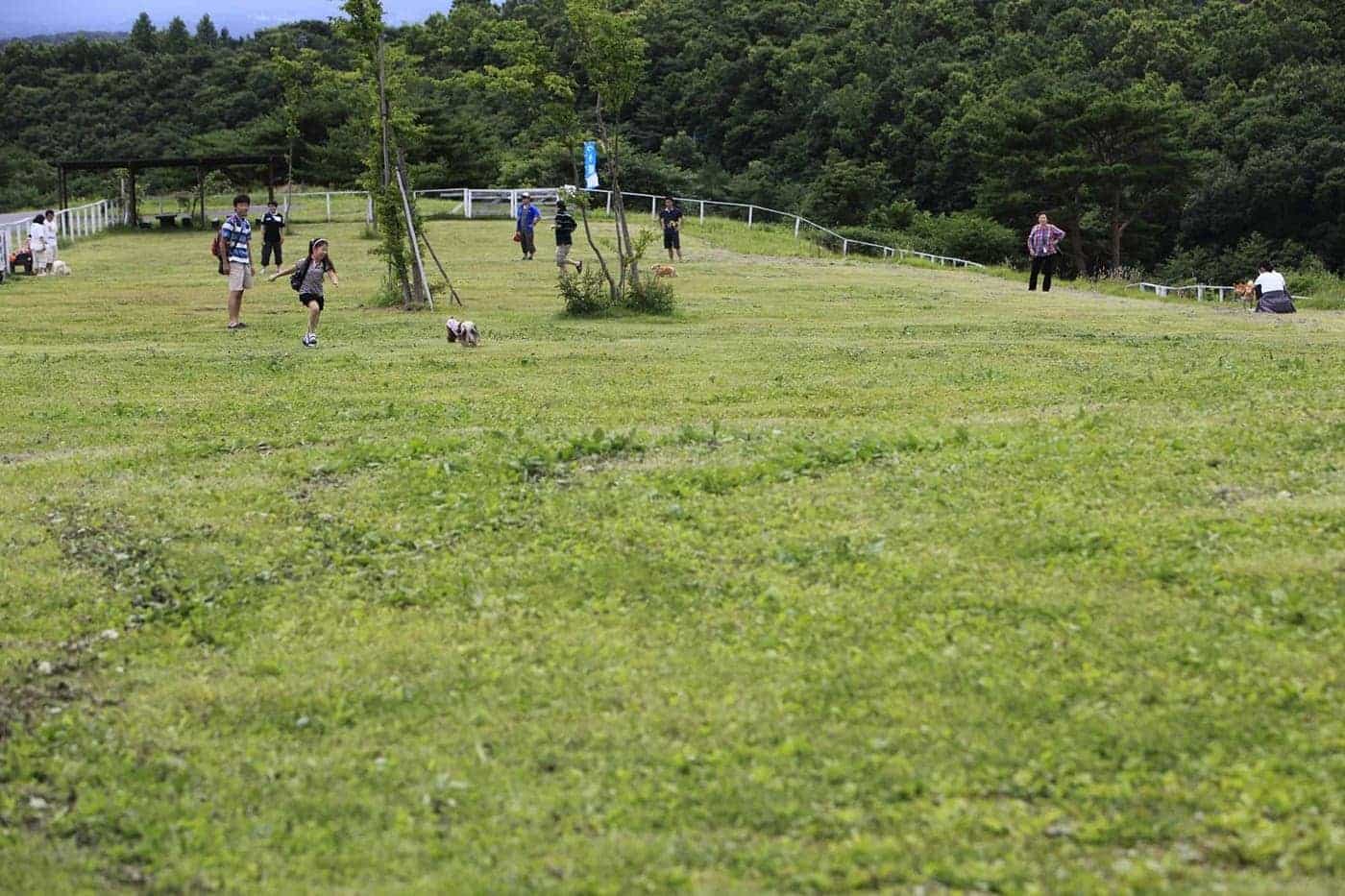 「パラダイスラン」からの眺めは最高！
