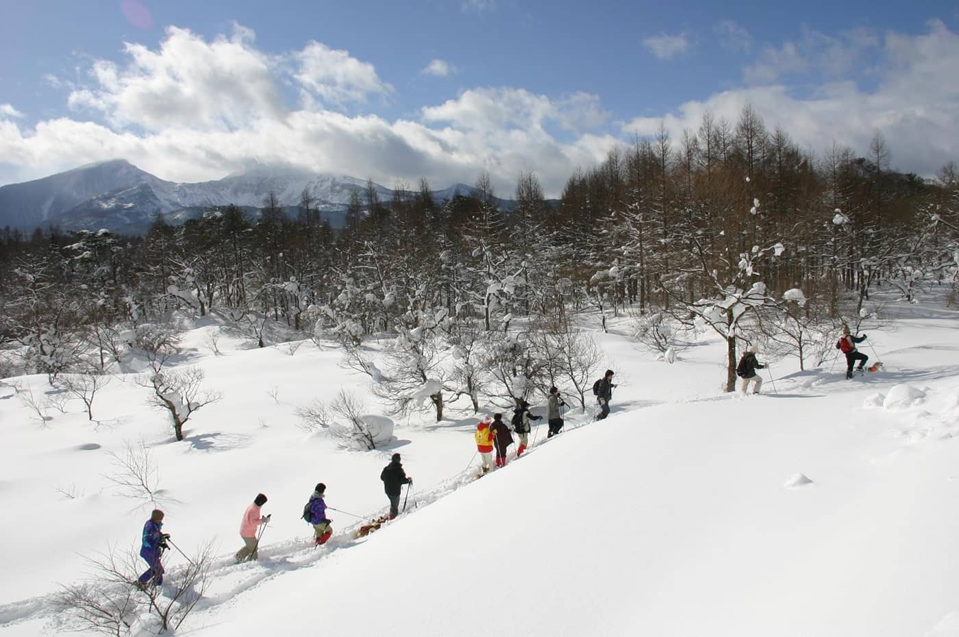 「スノーシュー体験」では、人もわんこも雪の中で大はしゃぎ！（12月中旬〜4月中旬）