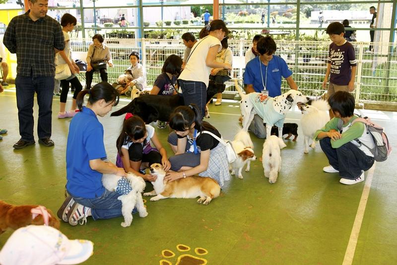 わんこと触れ合える広場も。※ただし愛犬とは一緒に入れません。