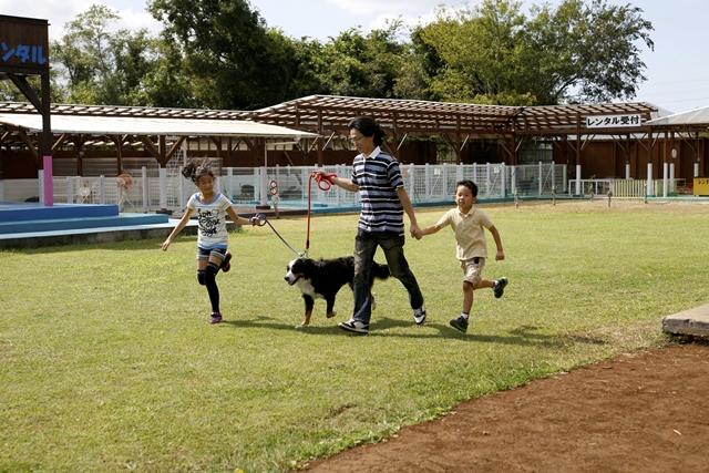 広い芝生の広場で愛犬とお散歩♪