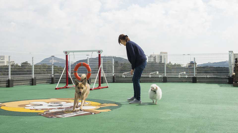 鳥羽湾を一望頂ける屋上ドッグガーデン