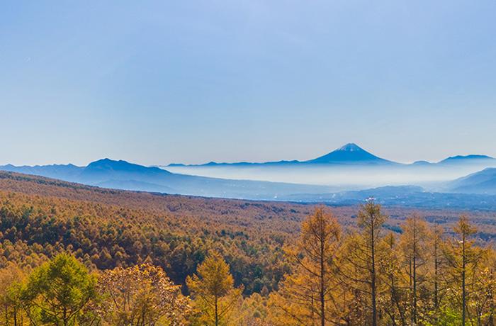秋には富士山と唐松の紅葉を一望できますよ。