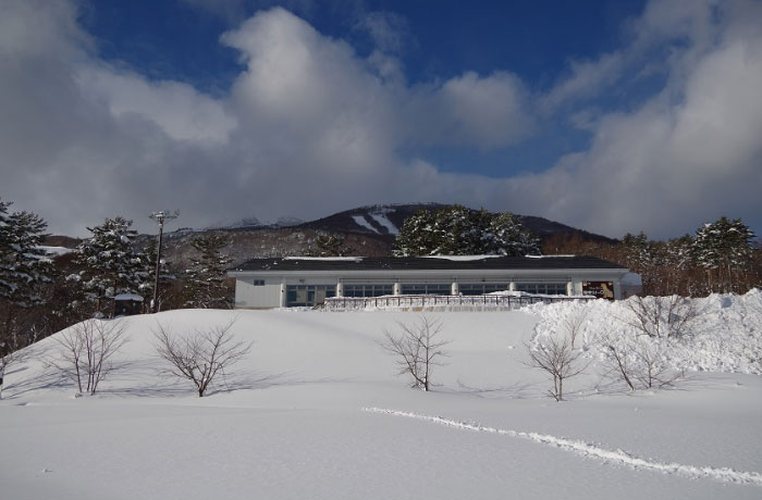 雪の季節でも屋外ドッグランはオープンしています。