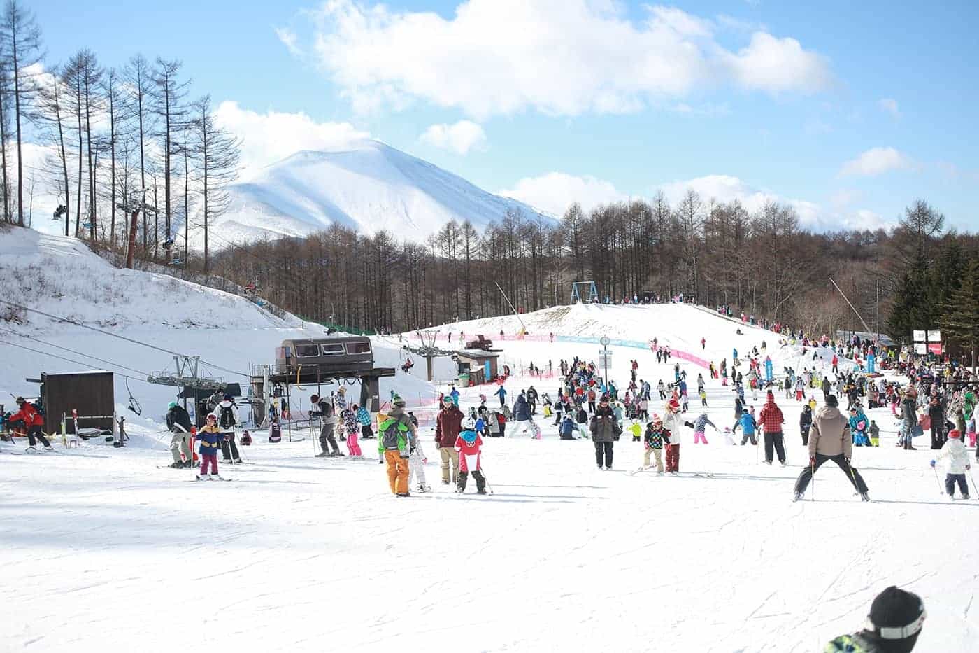 雪のドッグランで思い切り遊ぼう！