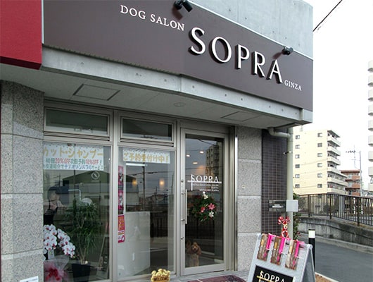 プレミアムな時間を！人気ブランド「SOPRA GINZA」の武蔵浦和店