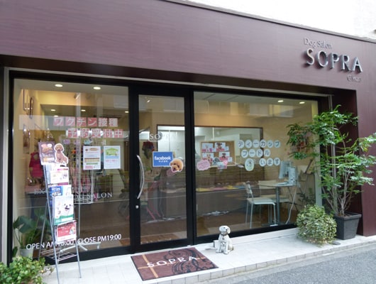 極上の癒やしをわんこに！人気オリジナルブランドショップの銀座本店