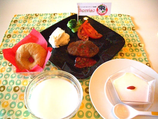 わんこにも、コース料理をどうぞ！