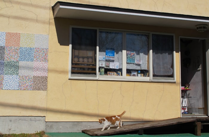 お店の外壁にもキュートなモザイクタイルが貼られています。