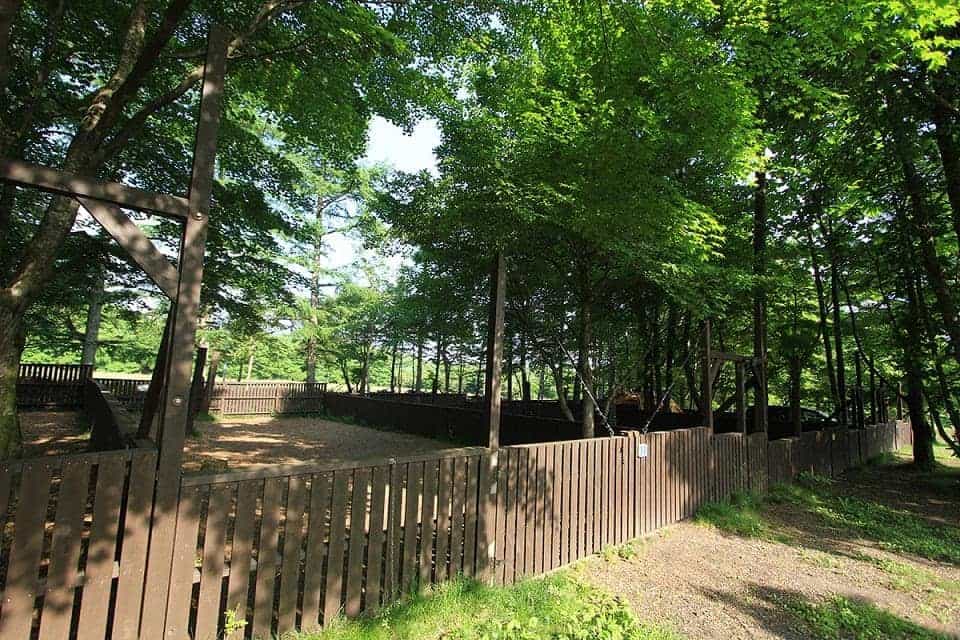 8m×16mと広めのサイトです。 ウッドチップを敷いた地面ですので水はけが良いです。