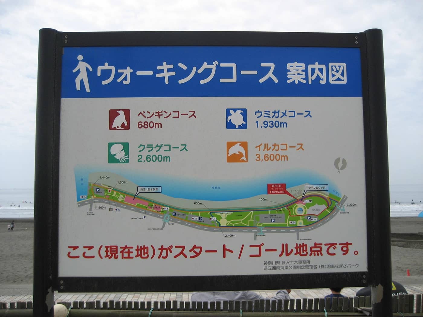 約2kmの遊歩道をお散歩コースに