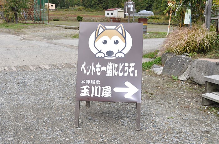 こちらの看板が目印です。