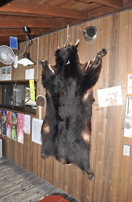 壁には、ご主人が獲った熊の毛皮が！本物です！