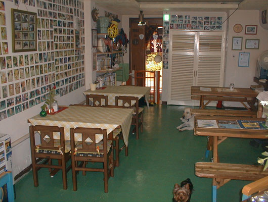 アットホームな店内。気軽に立ち寄りましょう。