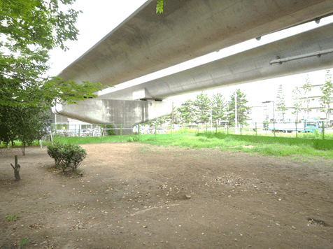 「犬の遊び場」は、海の公園を背にして「海の公園南口」駅の右手にあるスペースです。