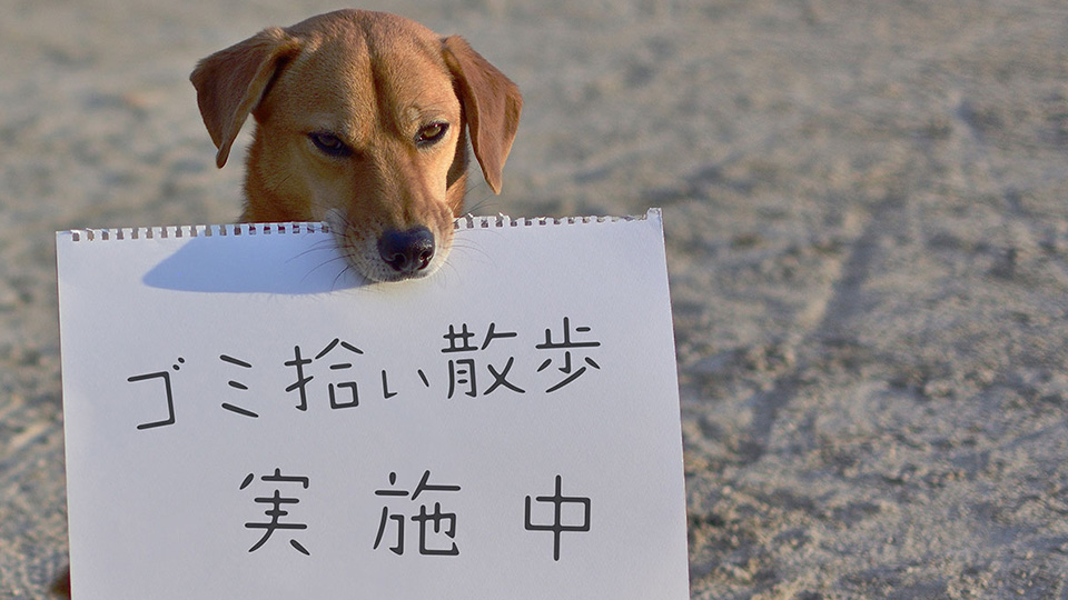 ゴミ拾い散歩実施中！