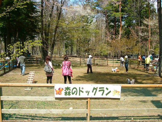 きれいな水を五感で感じる公園