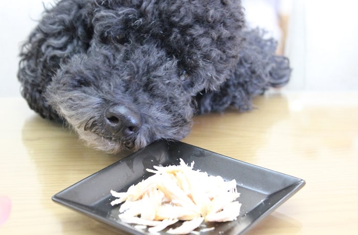 わんこに大人気の「ササミの燻製」。