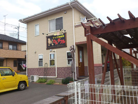 わんこと楽しく遊んで、かわいく変身！