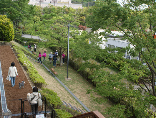 まるで公園のような緑のドッグランでリフレッシュ！