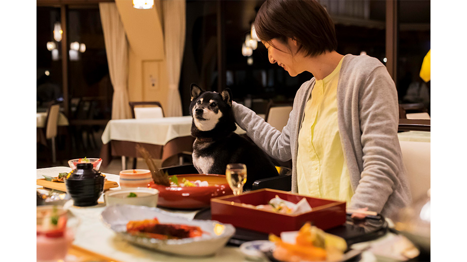 お食事処もわんちゃん同伴でお入りいただけます。
