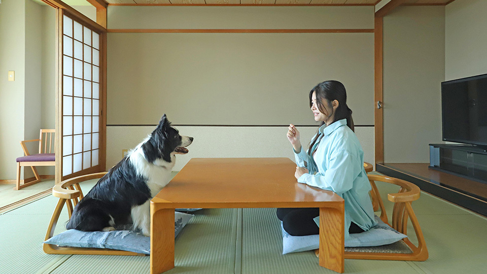 客室滞在イメージ。愛犬とお部屋でのんびり