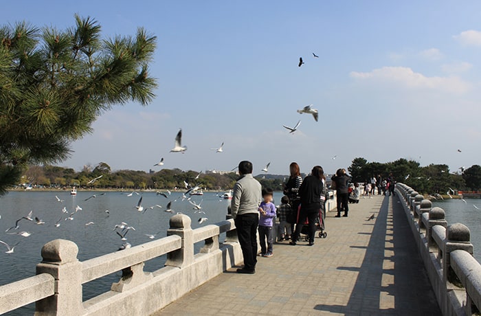 福岡市民のオアシス「大濠公園」に隣接！