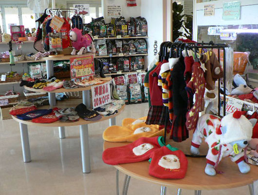 店内には、ウェアやドッグフードなど、グッズがいっぱい！