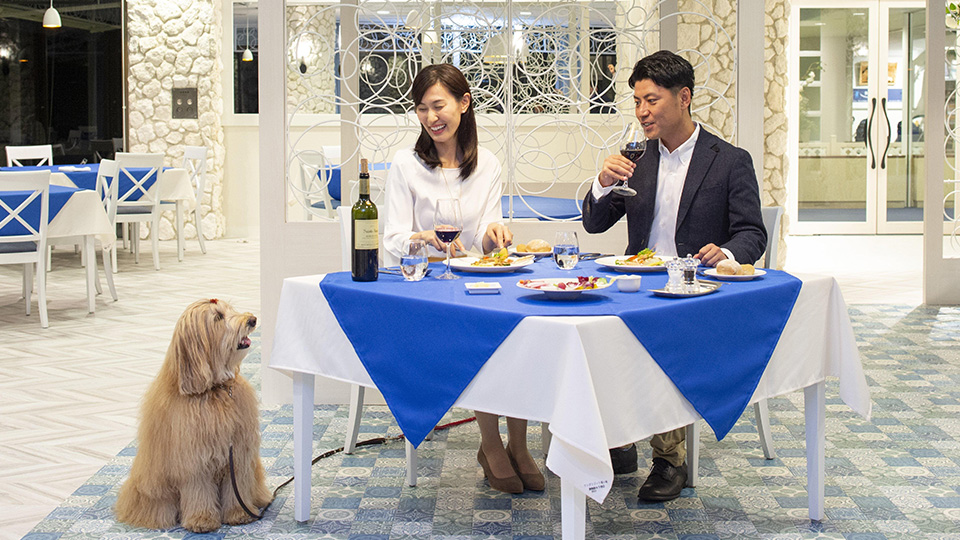 愛犬と一緒にレストランをご利用いただけます。