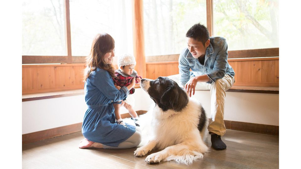 一棟貸しのコテージタイプなので周りを気にせず愛犬とお過ごしいただけます。