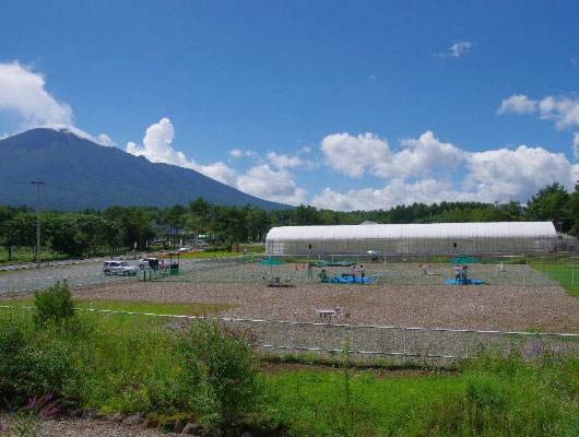 岩手・八幡平「サラダファーム」の中にある、無料開放ドッグラン