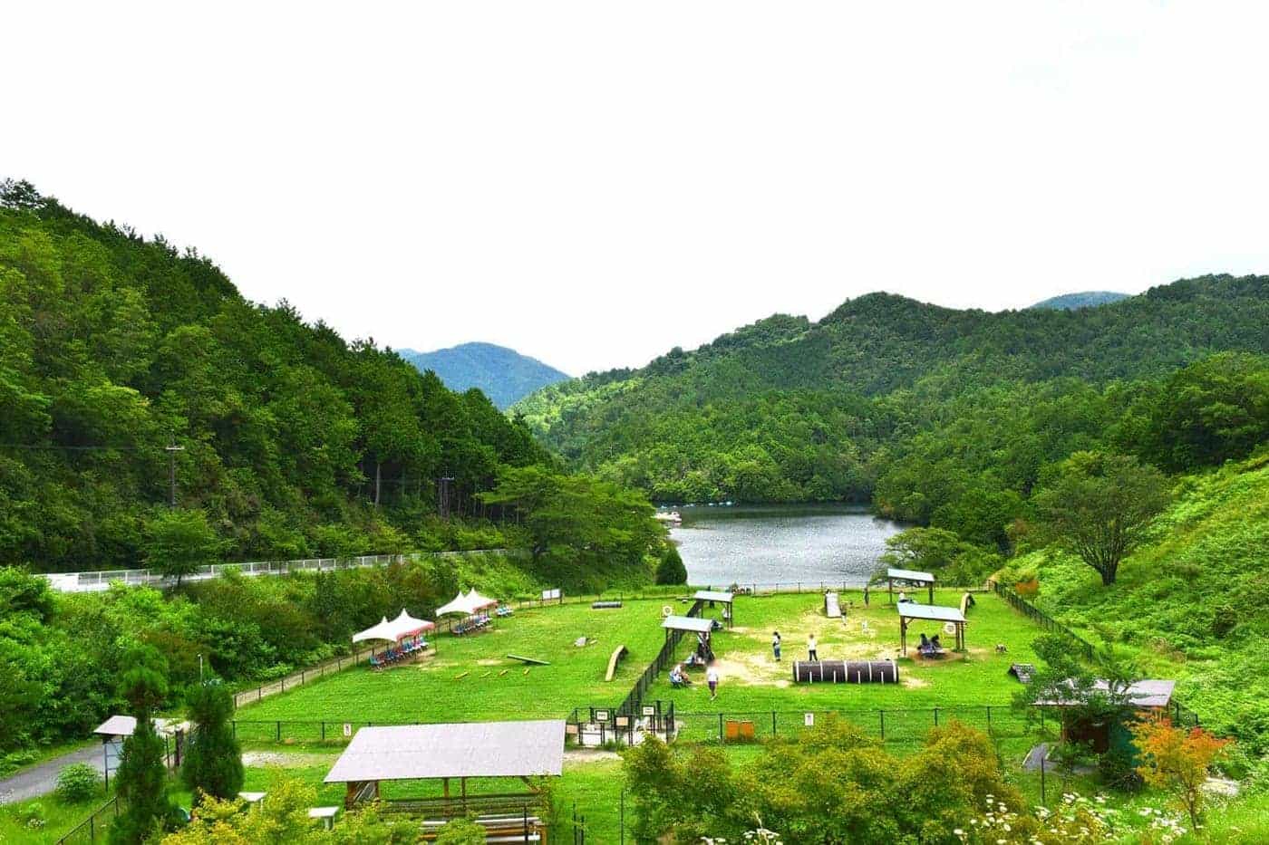 菖蒲谷池や山々に囲まれた自然いっぱいのドッグランにわんことドライブ旅を楽しむ