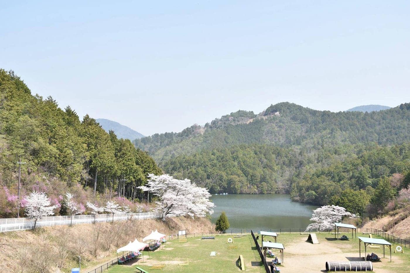 毎年春には満開の桜がフィールドを明るい雰囲気に彩ります。